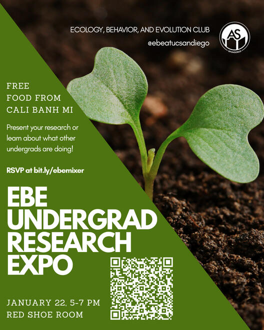 EBE research expo flyer 11/2 at 6